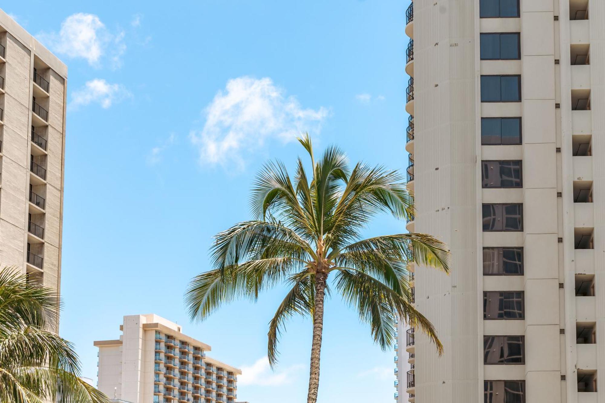 Ocean & Diamond Head Views - Near Beach - Parking! ホノルル エクステリア 写真
