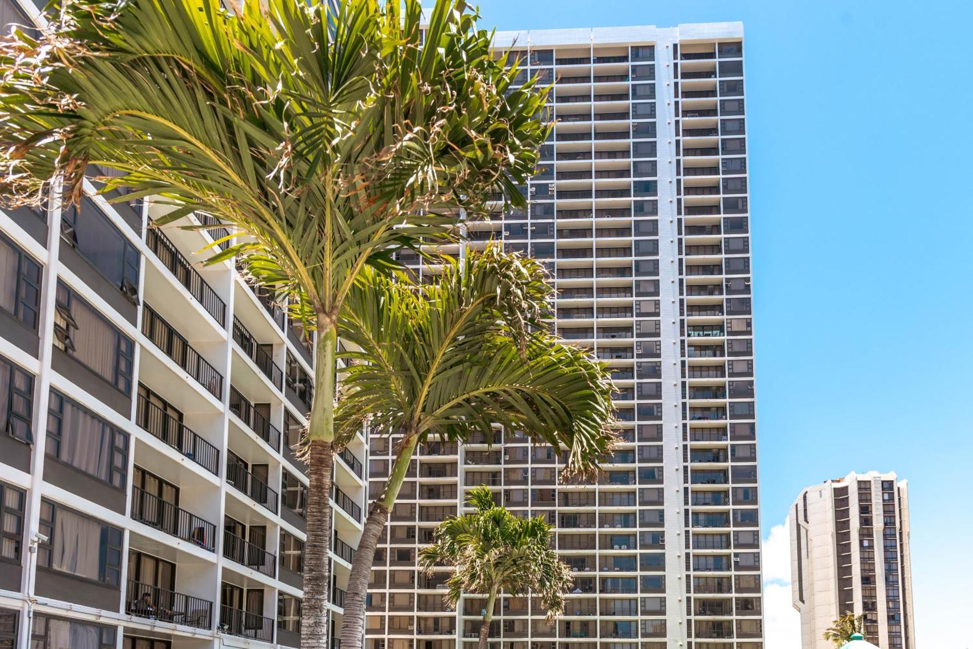 Ocean & Diamond Head Views - Near Beach - Parking! ホノルル エクステリア 写真