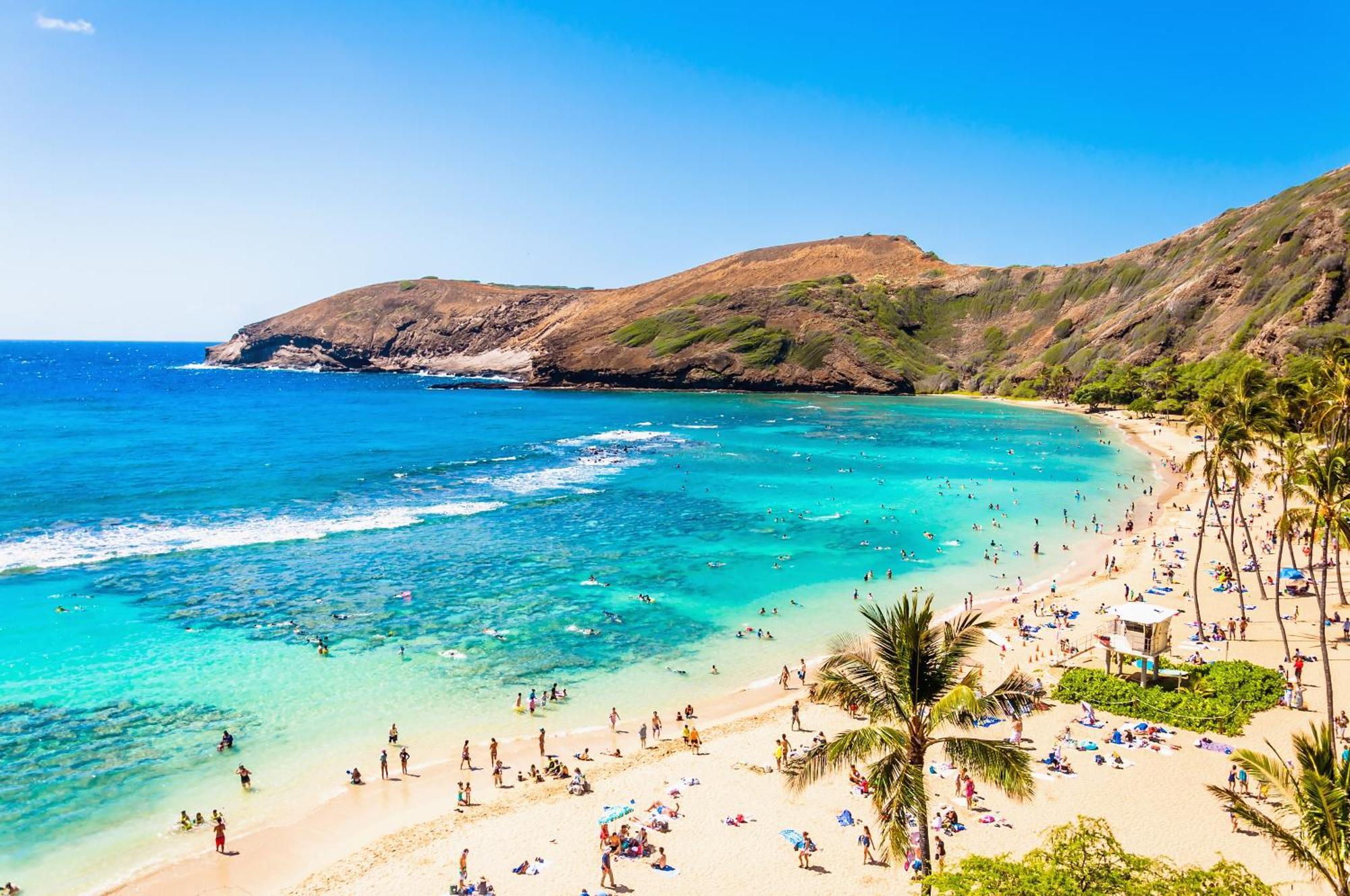 Ocean & Diamond Head Views - Near Beach - Parking! ホノルル エクステリア 写真