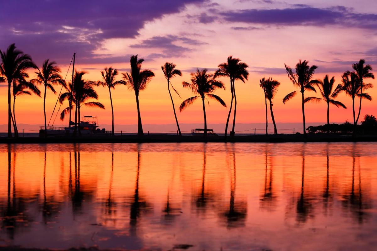 Ocean & Diamond Head Views - Near Beach - Parking! ホノルル エクステリア 写真